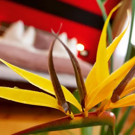 Zur Post Hotel Mieming